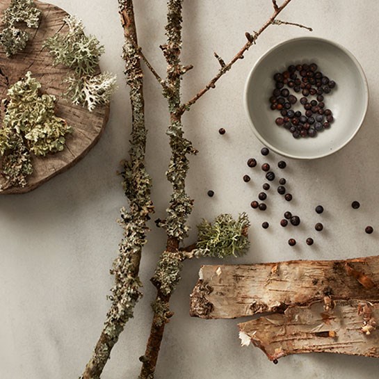 How To Set Up Diffuser Sticks